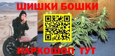 молекула духа Новозыбков