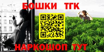 молекула духа Новозыбков
