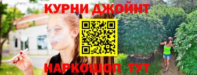 молекула духа Новозыбков
