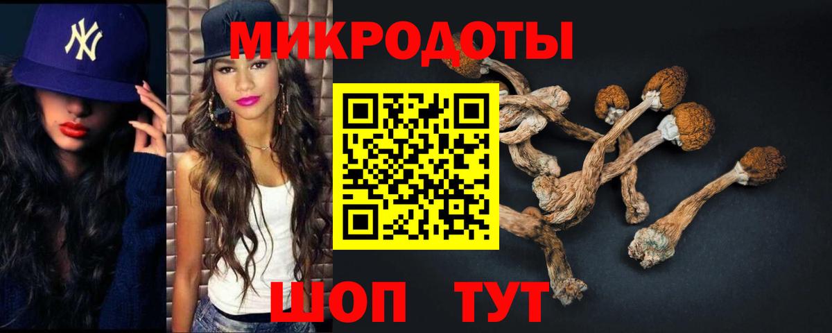 Псилоцибиновые грибы прущие грибы  Вход с VPN  Заинск  как найти   Галлюциногенные грибы ЛСД 